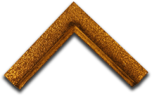 Antique Frame Moulding Style Ogee Liner